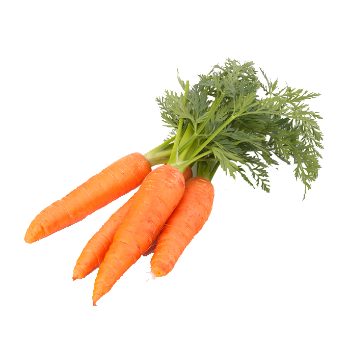 Carottes