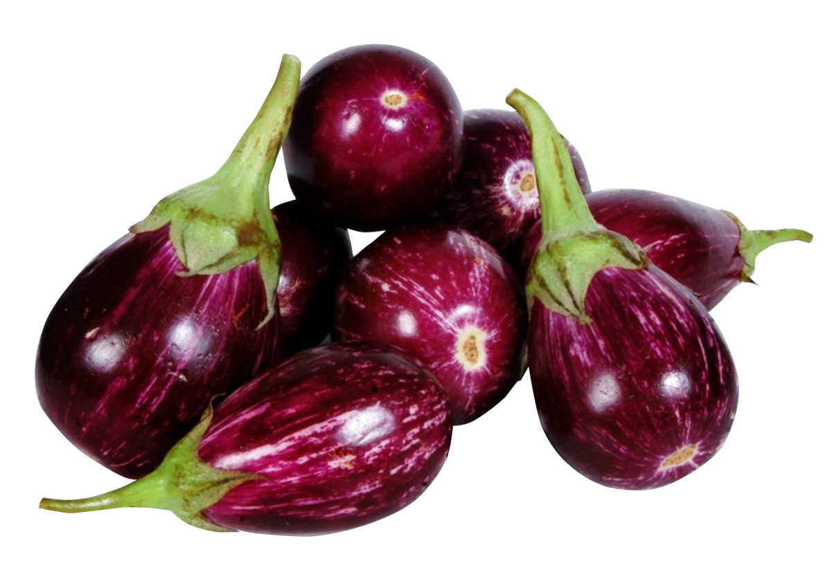 Aubergine
